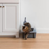 IRIS USA Large Cat Litter Box Scatter Shield Scoop Open High Sided - Gray/Clear New