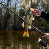 KastKing Brutus Fishing 7ft Medium Heavy Fast 2pcs - B07PZBHBZ7