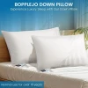 BOPPLEJO WHITE - BOPPLEJO GOOSE DOWN PILLOW STANDARD SIZE - WHITE