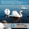 BOPPLEJO WHITE - BOPPLEJO GOOSE DOWN PILLOW STANDARD SIZE - WHITE