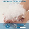 BOPPLEJO WHITE - BOPPLEJO GOOSE DOWN PILLOW STANDARD SIZE - WHITE