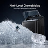 TYPHUR NUGGET ICE MAKER COUNTERTOP 35LBS/24H SELF-CLEANING PUMP - SS/BLACK