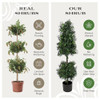 NATIONAL TREE COMPANY 4 FT ARTIFICIAL BOXWOOD CONE AND BALL TOPIARY TREE GREEN