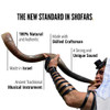 PROSHOFAR Shofar Set, Natural Kudu Horn Shofar - B07ZJLH887 New