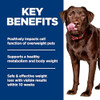 Hill's Science Diet Perfect Weight Large Breed Dry Dog Food B0C12VQF8Q NEW New