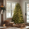 NATIONAL TREE COMPANY PRE-LIT ARTIFICIAL FULL CHRISTMAS TREE 7.5 FT GREEN New