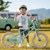 RoyalBaby EZ Kids Bike,14 Inch Convertible Balance to Pedal Bike for Boys Boy New
