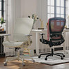 ELABEST Mesh Office Chair Ergonomic Computer Desk Chair T96 - Grey Frame Mesh