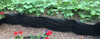 B09N2X64KH Raised Bed Planter Fabric 8 Ft Long - Black New