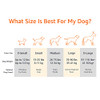Amazon Basics Washable Dog Bed and Crate Pad 46 x 29 x 4 inches - Gray New