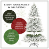 NATIONAL TREE COMPANY 7.5FT PRE-LIT FLOCKED ACACIA CHRISTMAS TREE: GREEN/WHITE