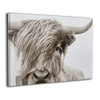 Hd8yehao Freedom Highland Cow Pictures Canvas Wall Art Farmhouse Prints 16"x20" New
