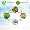 Superior Forest 100% Compostable 9 inch Paper Plates [150-Pack] Heavy-Duty New