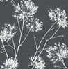 NextWall One O'Clocks Botanical Peel and Stick Wallpaper (Charcoal) New