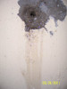 B00JH0KL44 Patch N Plug - Gray New