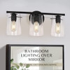 The Yodeling Goat Black Vanity Light - Farmhouse Bathroom Light Fixtures New