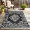 Ebimai Indoor/Outdoor Plastic Stain Proof Reversible Rug 3'11" x 5'11" - Black New