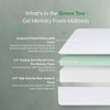 MLILY EGO 6 Inch Twin Mattress Green Tea Memory Foam Cooling Gel B09T5BSBRG New