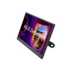 ASUS ZenScreen MB166CV 15.6" Portable USB-C Monitor with Kickstand & Sleeve