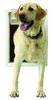 Ideal Pet Products Air Seal Pet Door New