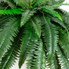Nearly Natural 48 in Artificial Boston Fern Hanging Plant (Set of 2) New