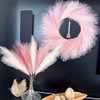 L U N A M A HOME DÉCOR Fall Pampas Grass Wreath 27'' Light Pink B09PLQ7Y83 New