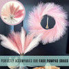 L U N A M A HOME DÉCOR Fall Pampas Grass Wreath 27'' Light Pink B09PLQ7Y83 New