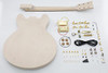 Leo Jaymz DIY Hollow Body Electric Guitar Kit - G-335 New