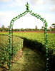 1. GO Gothic Steel Garden Arch 8'3" High x 4'5" Wide B01LZPQNEO - NEW New