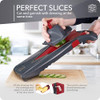 Börner by Reston Lloyd Mandoline Slicer Vital Basic Set with 10 Cutting Styles New