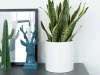 POTEY 8" GLAZED CERAMIC INDOOR PLANTER POT - WHITE
