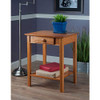 Winsome Studio End Table/Printer Stand with Drawer 29" B000NPOSPK - Honey New