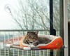 Kitty Cot Original World's Best Cat Perch Large B00C5TUVXU Color Black