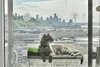Kitty Cot Original World's Best Cat Perch Large B00C5TUVXU Color Black