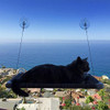 Kitty Cot Original World's Best Cat Perch Large B00C5TUVXU Color Black