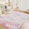 Zareas Fluffy Area Rug 4x6 Feet Black Plush Modern Indoor Shower Rug Non-Slip