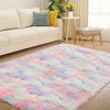 Zareas Fluffy Area Rug 4x6 Feet Black Plush Modern Indoor Shower Rug Non-Slip