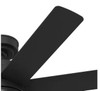 HUNTER BRAZOS 52 IN. 7 BLADE ENERGY STAR CEILING FAN LED LIGHT KIT - MATTE BLACK