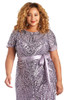 R&M Richards Women's Sequin Power Mesh Godet Dress with Short Sleeves New