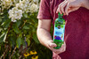 Miracle-Gro 112100 Liquafeed Tree Shrub Food Refills 6 Pack B01BQ9WR8Q -NEW New