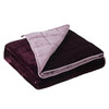 SATWIP WEIGHTED BLANKET 10 POUNDS PINK FUZZY WARM FLANNEL BLANKET - RED PINK