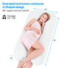 HOMEIDEAS 55" Full Body Pregnancy Pillow U Shaped Maternity 100% Cotton -White New