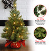 National Tree Company 24in Pre-Lit Majestic Fir Mini Christmas Tree New