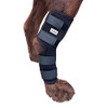 Labra Dog Rear Leg Hock Joint Compression Wrap Supportive Brace - Medium New