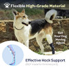 Labra Dog Rear Leg Hock Joint Compression Wrap Supportive Brace - Medium New