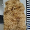 SALVANI INC GENUINE CURLY ICELANDIC SHEEPSKIN RUG - FROSTED GINGER