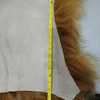 SALVANI INC GENUINE CURLY ICELANDIC SHEEPSKIN RUG - FROSTED GINGER