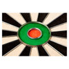 WINMAU Blade 6 Professional Bristle Dartboard New