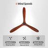 Chriari 60'' Walnut Ceiling Fan, 3 Wood Blades, 6 Speeds, DC Motor B0B6356RV9 New