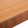 Sparrow Peak 48" x 30" x 1" Bamboo Desktop New